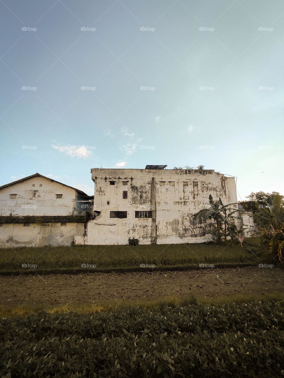 housing in the countryside