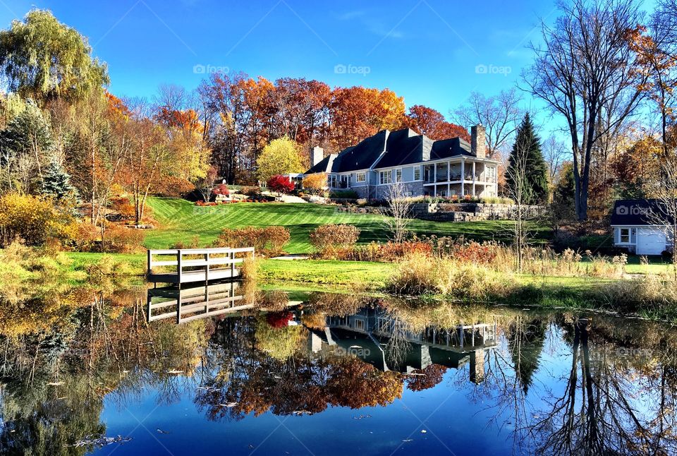 Beautiful November morning in Michigan
