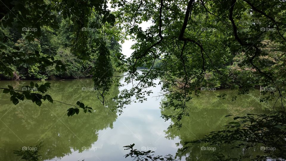 Tennessee River