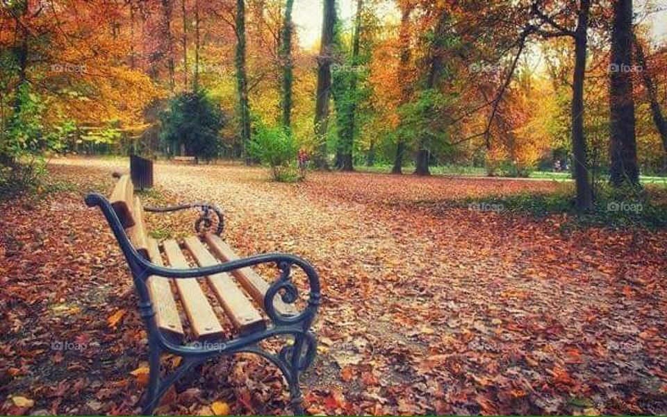 Autumn Zagreb Maksimir Park