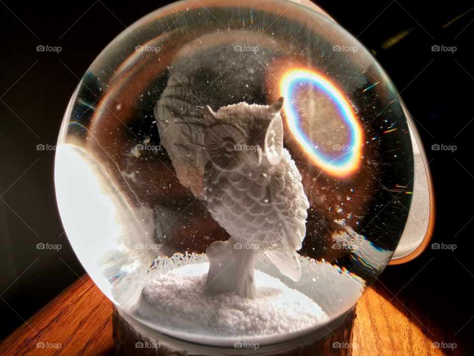 Owl snowglobe with rainbow circle and reflection