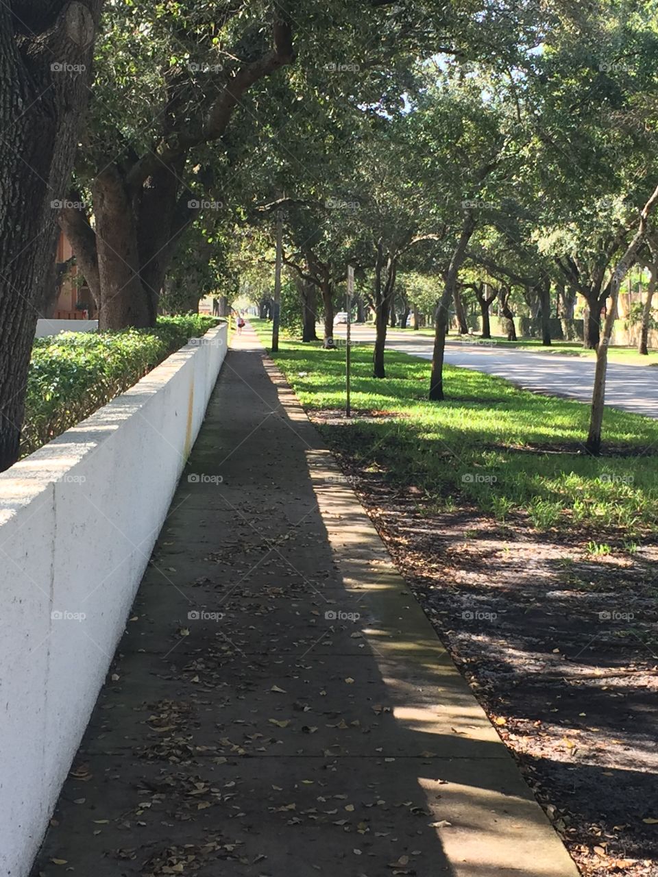 My point of view of  very long path