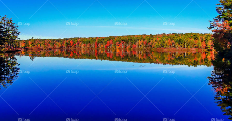 Reflection of autumn trees in lake