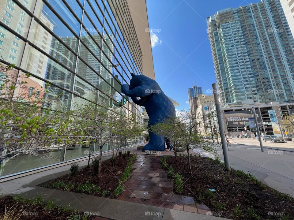 The Big, Blue Bear of Denver Colorado 