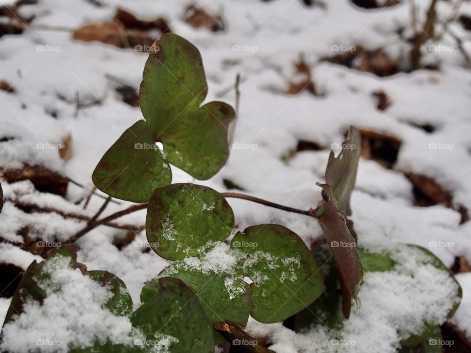 The last day of winter