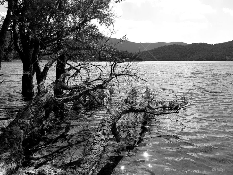 lac de Darnius