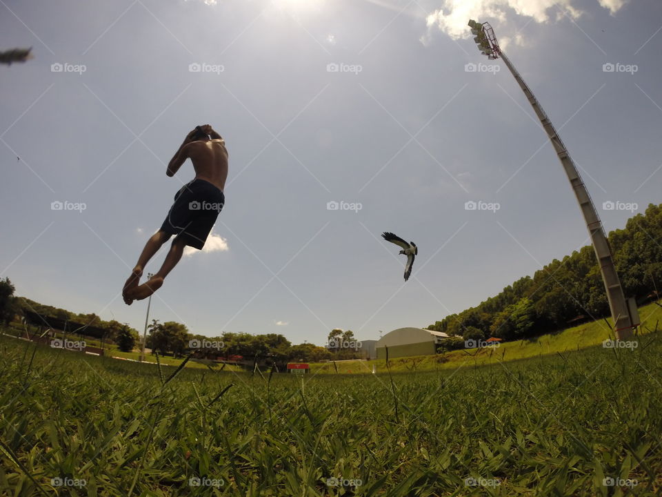 Bird attack . Fighting with the bird! 