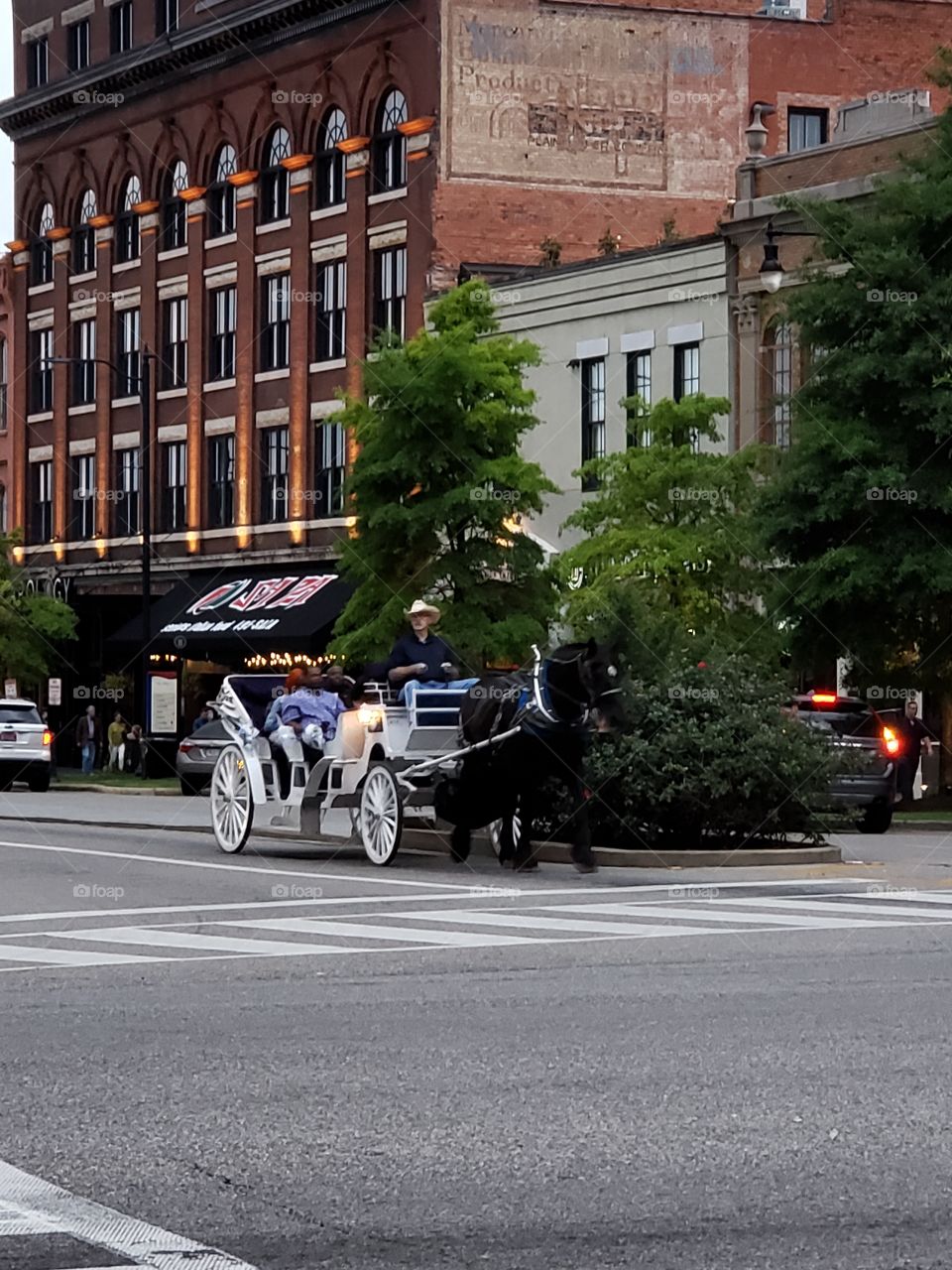 horse and buggy, Montgomery Al