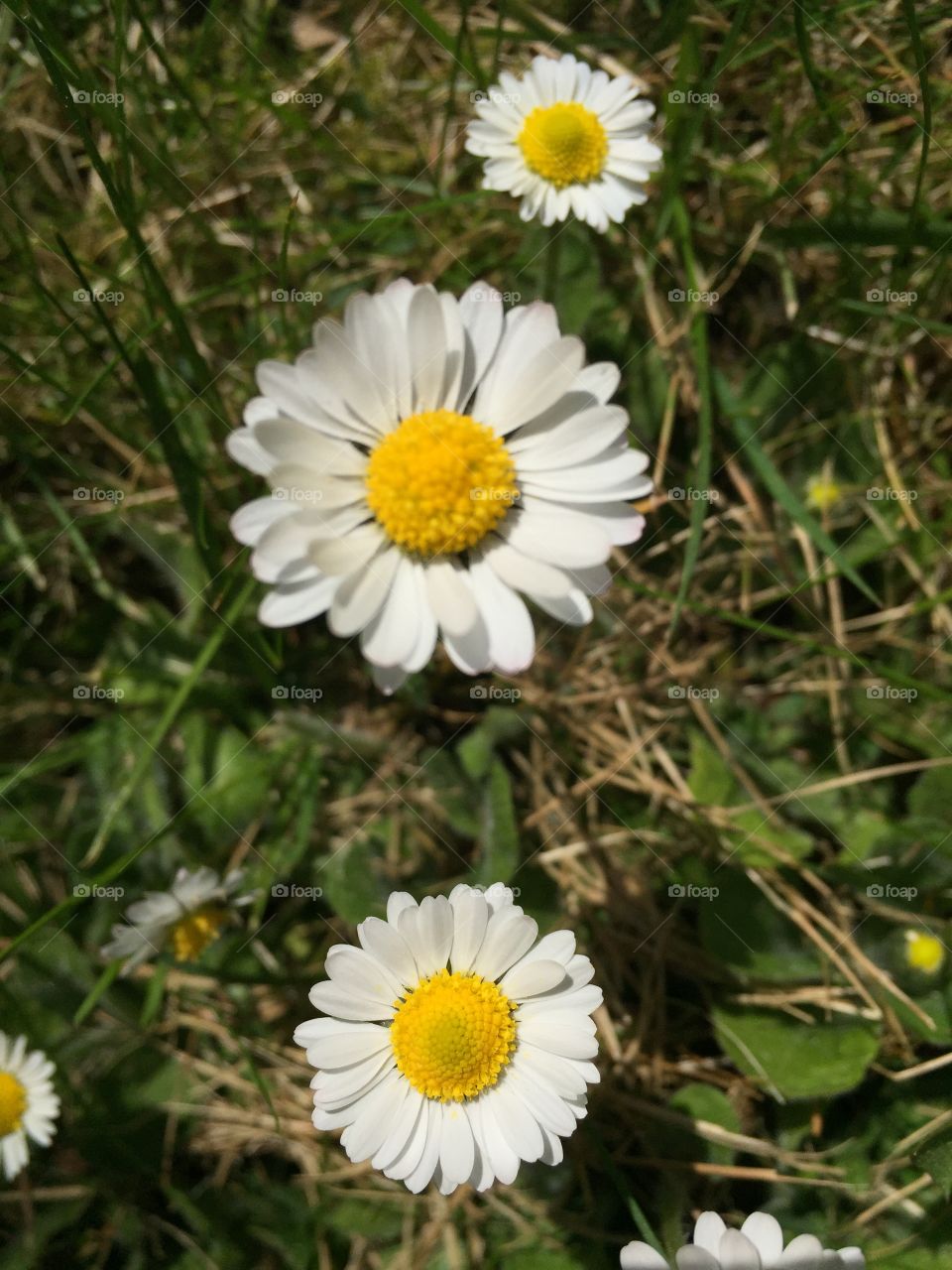 nature