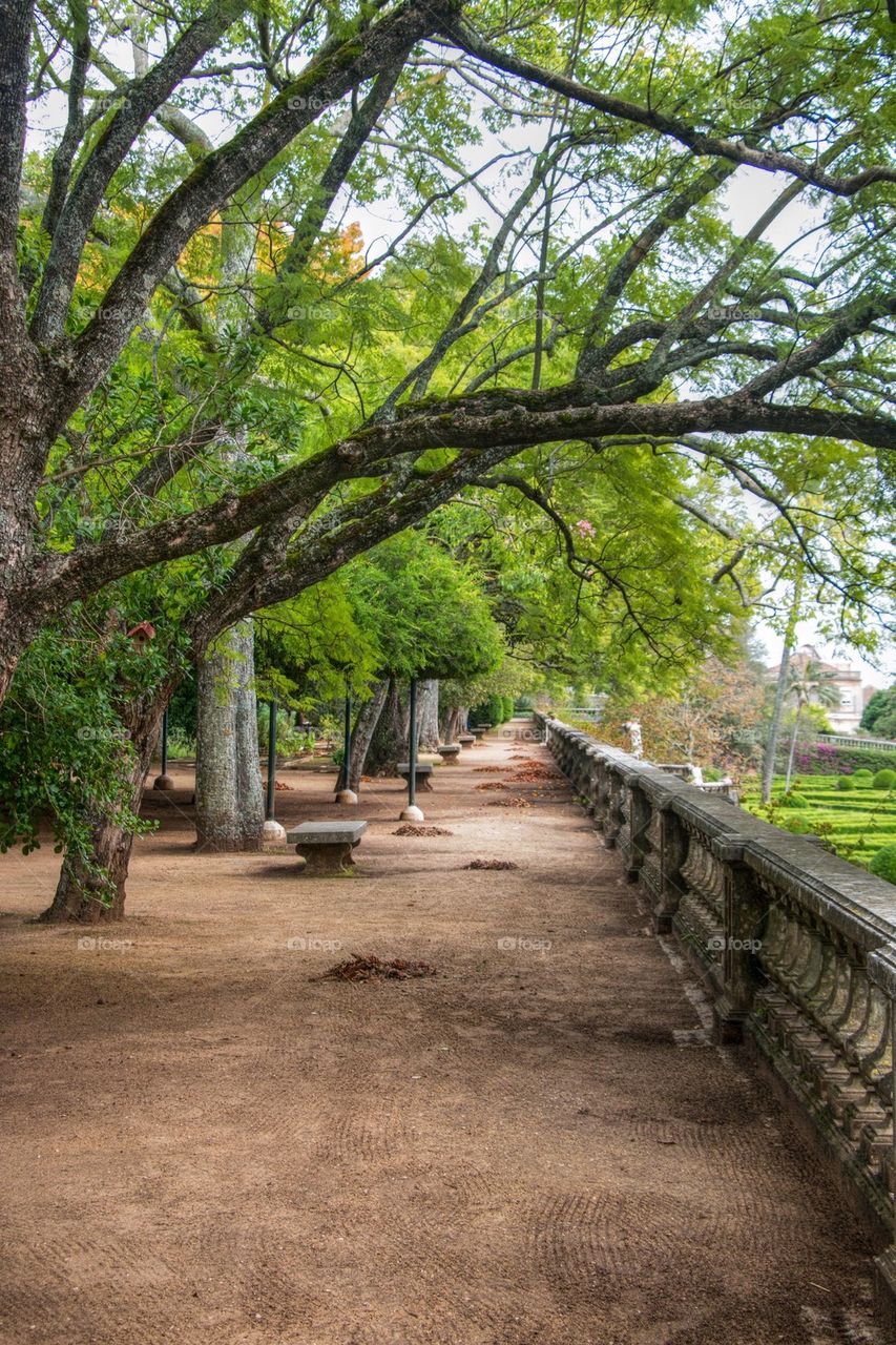 View of botanical garden