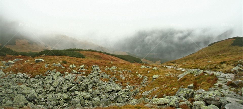 Magical trail in misty mountains in autumn