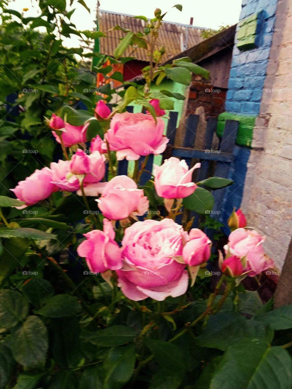 Capture the power of complementary colors