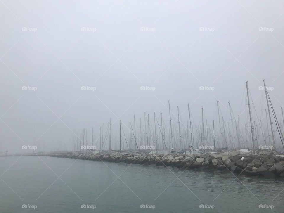 Yachts in the fog