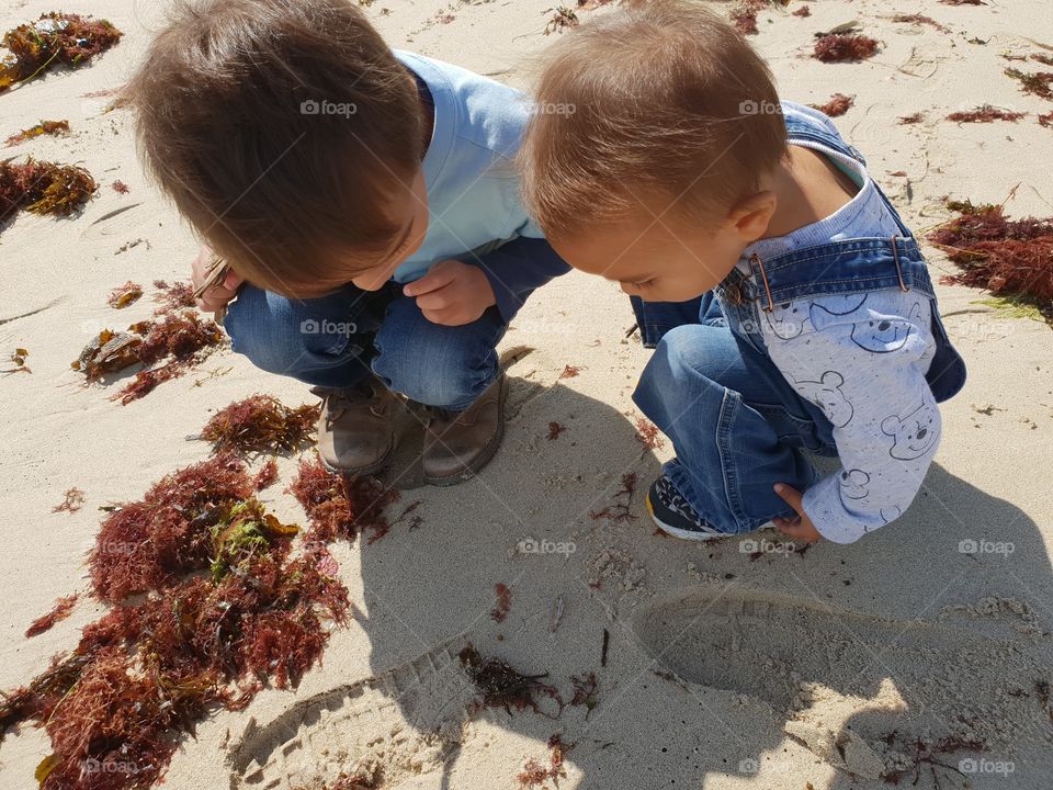 boys looking at tiny fish in the sand