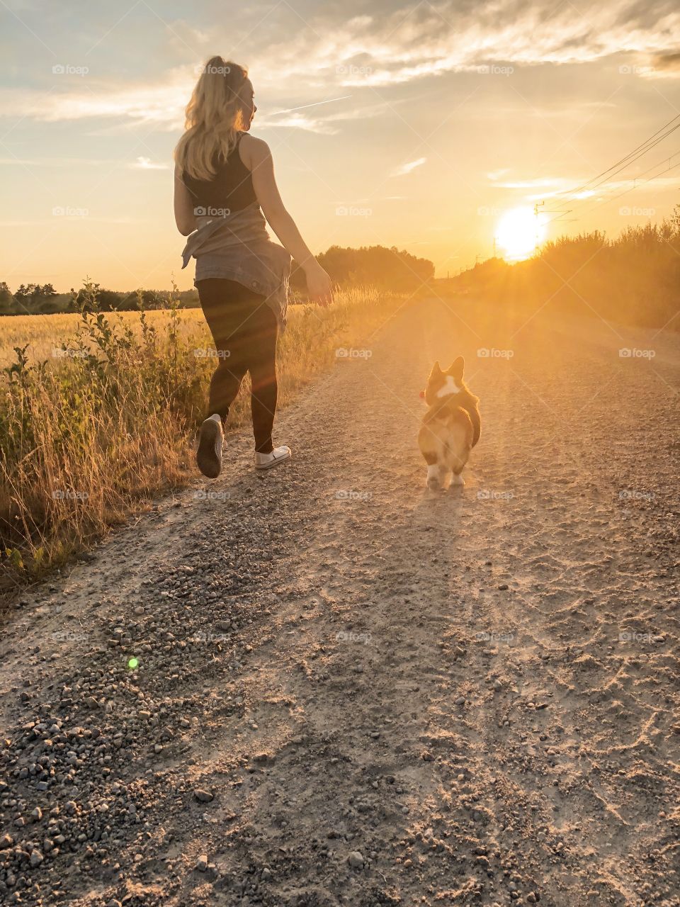 Girl and a dog walking in the sunset