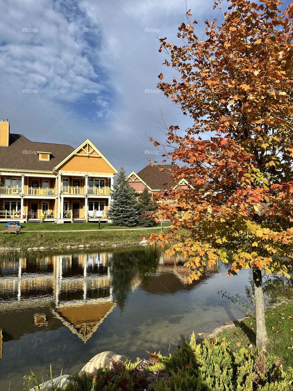 Embarc Vacation Homes at Blue are clustered around a traditional mill pond, vacation home image in the pond , Autumn leaf colour changing tree , sun and clouds