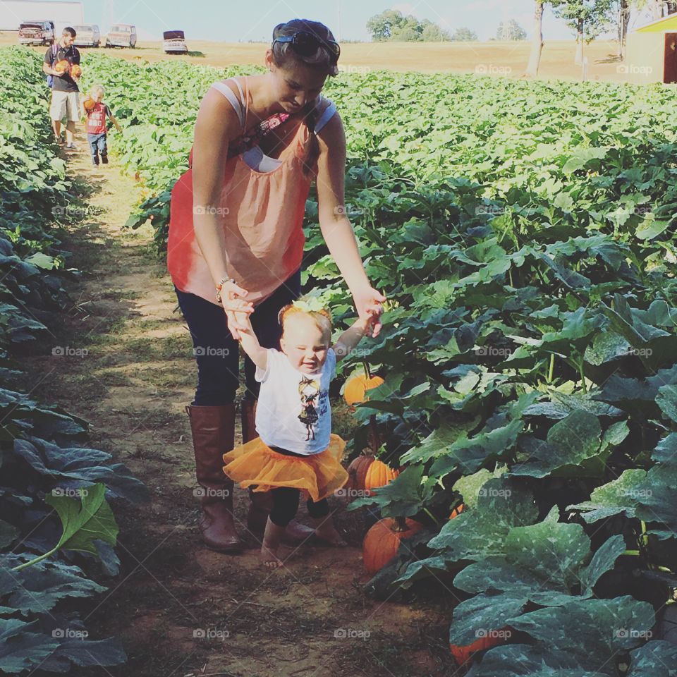 Mother and little girl walking in the pumpkin field