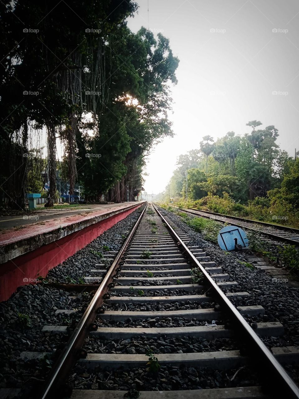 railway track through the tranquil beauty