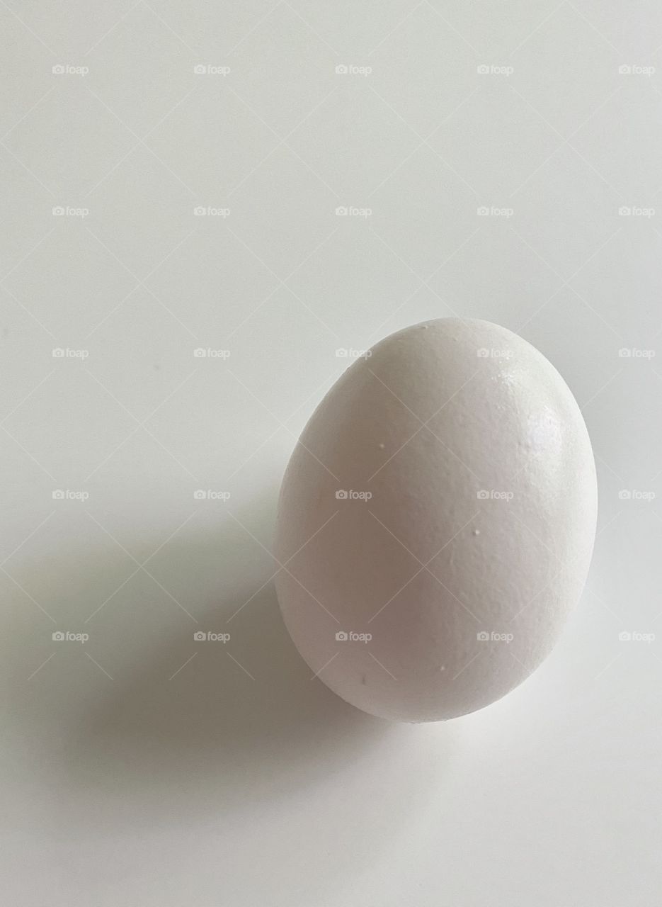 White egg on a white background with a slight shadow 