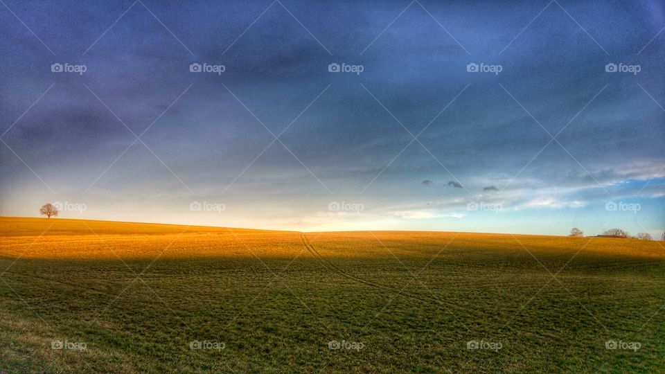 Sunlight over the grassy landscape