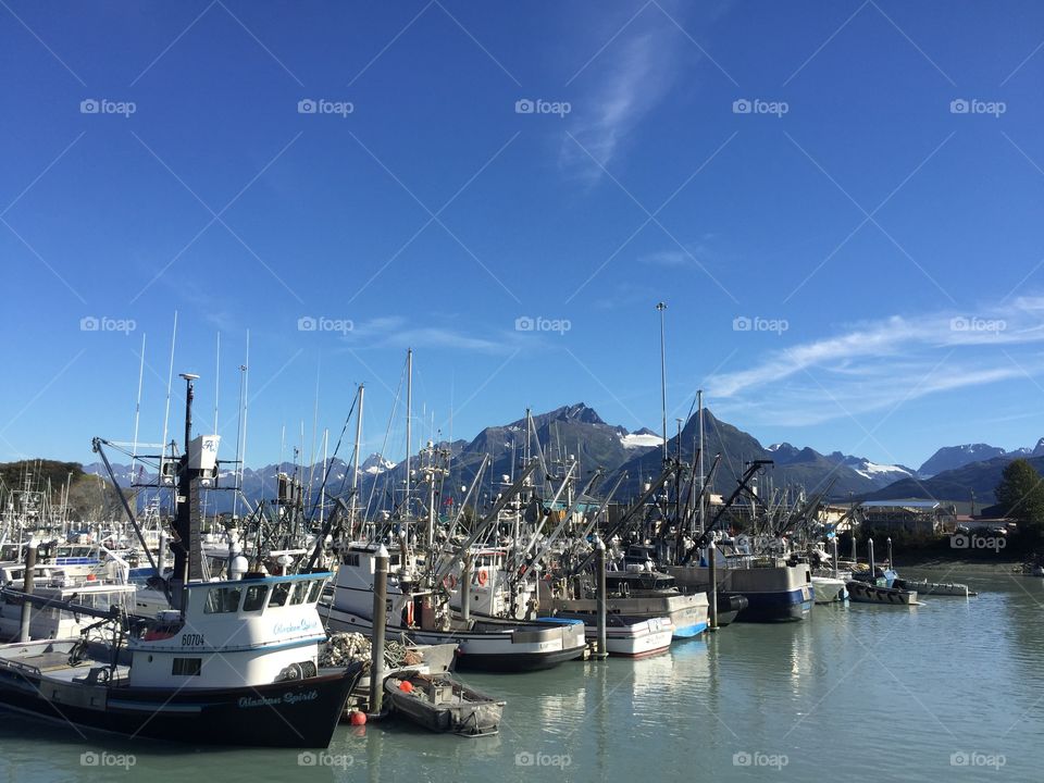 Valdez harbor Alaska 