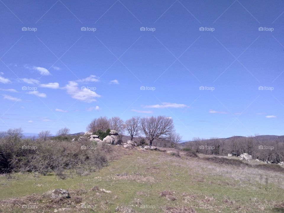 Editors' Choice: Photo of the Week