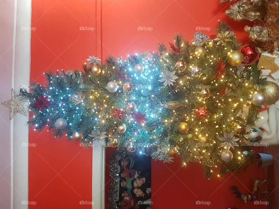 Christmas, Winter, Decoration, Celebration, Merry