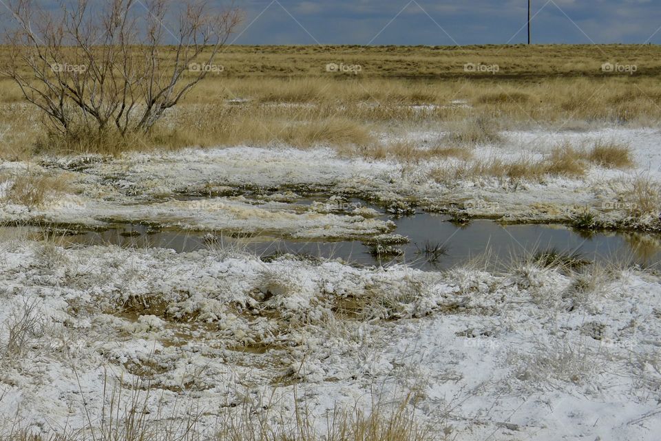 Scenic view of field with white crystals