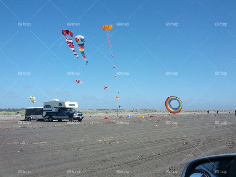 go fly a kite