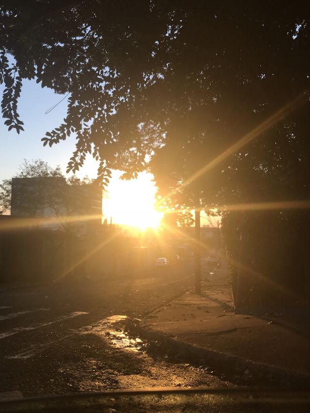 Sol 