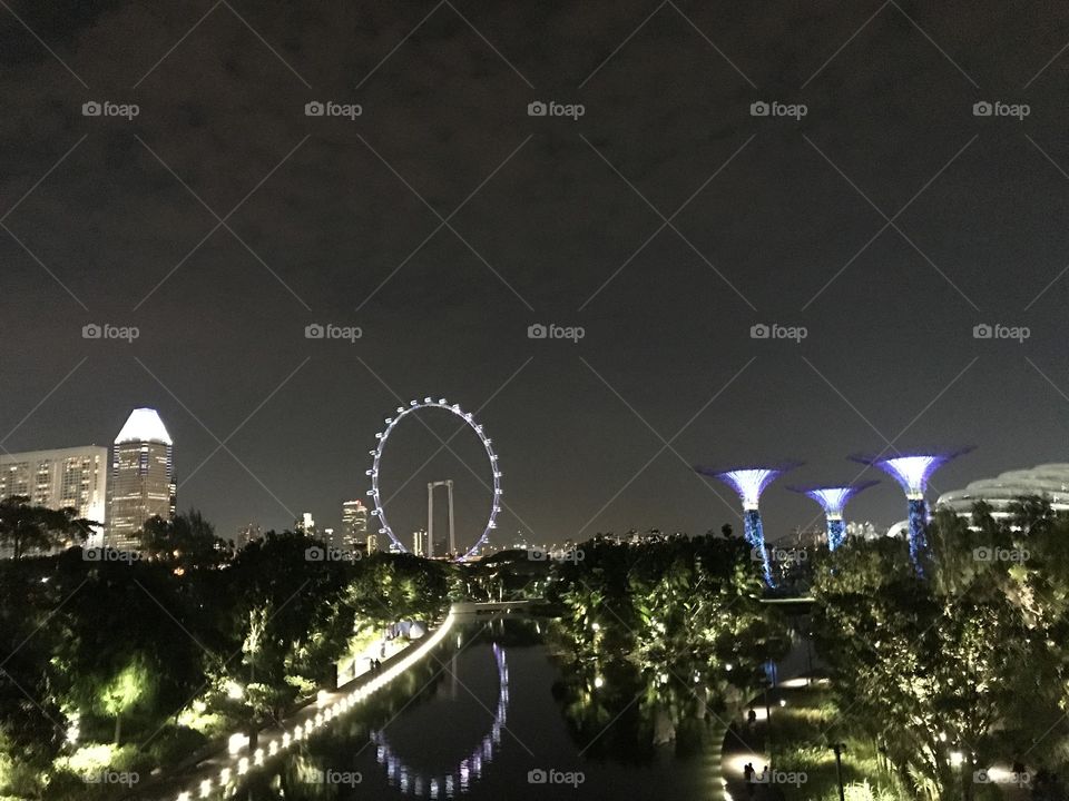 Eveving at Gardens by the Bay in Singapure