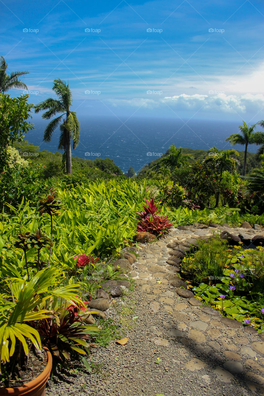 Maui nature trail