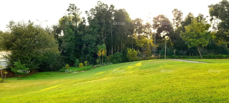 final de tarde