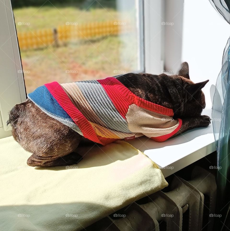 Греемся на солнышке ☀