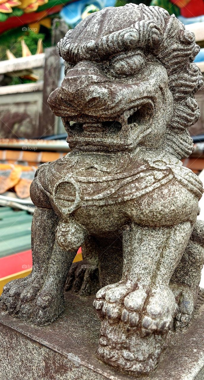 stone lion