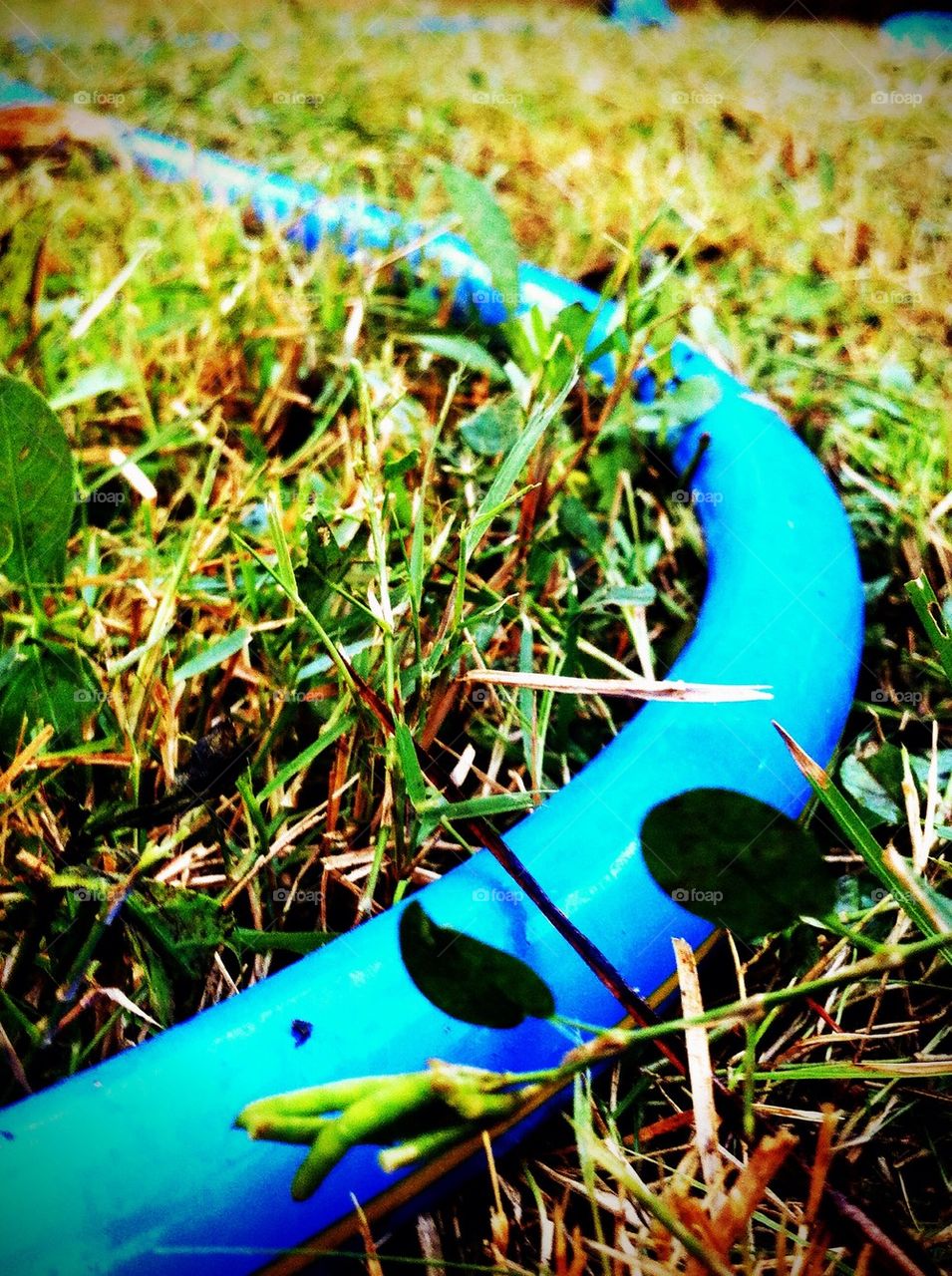 Rubber tube for watering tree