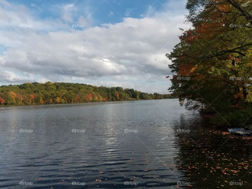 Water, Lake, Fall, River, Tree