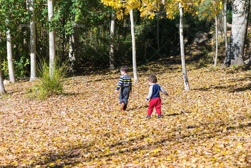 Children enjoying autumn
