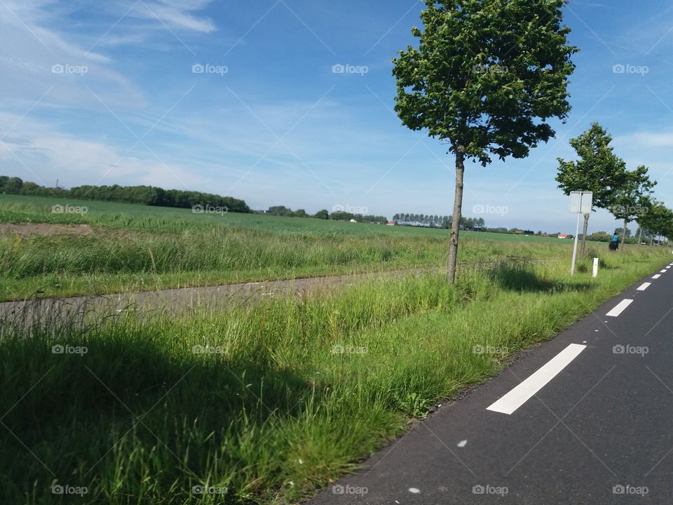 On the road again in The Netherlands.