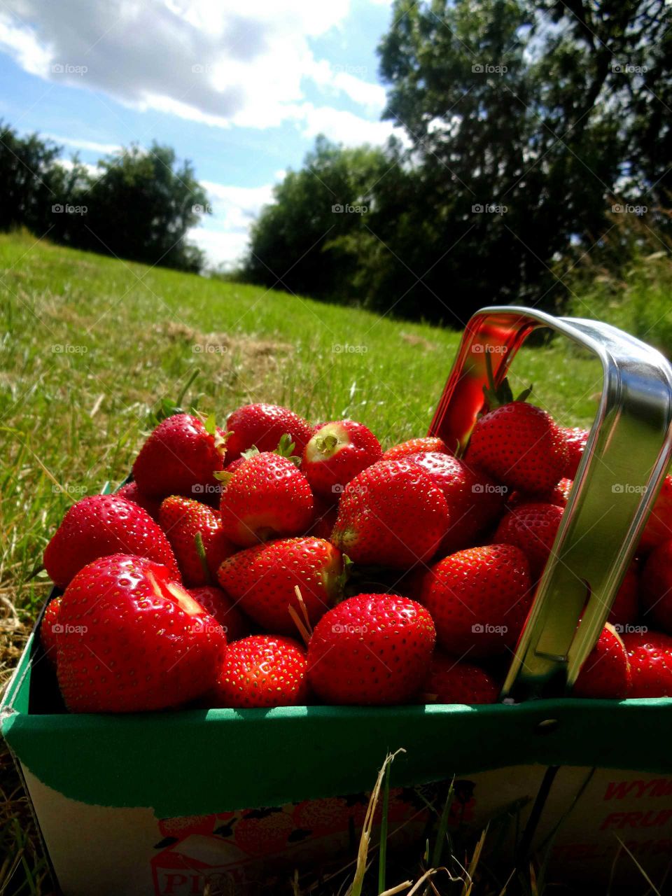 strawberries. basket of vitamins