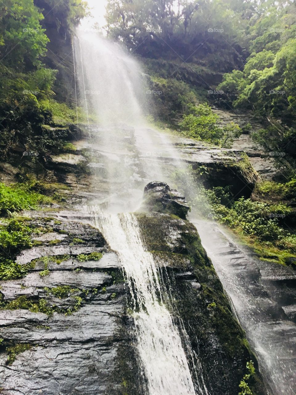 Can you sell me 1 million put in a mess and Phillies