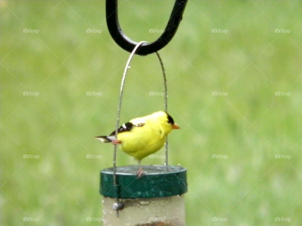 Just doing my exercise