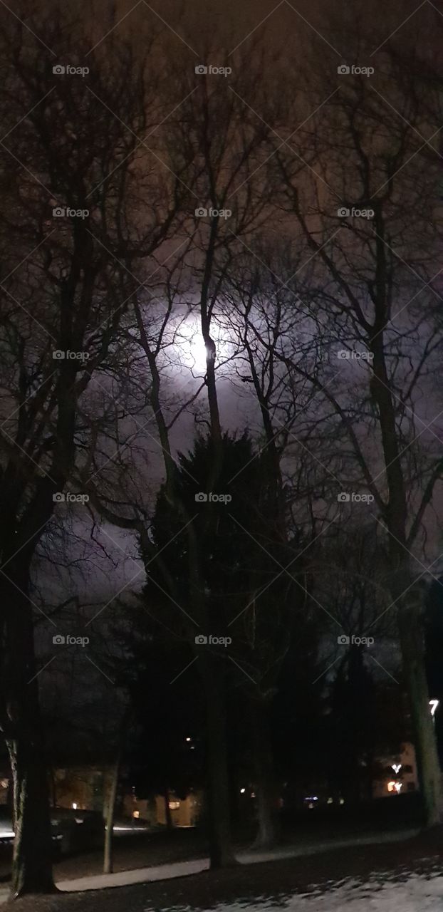 beautiful Oslo Norway