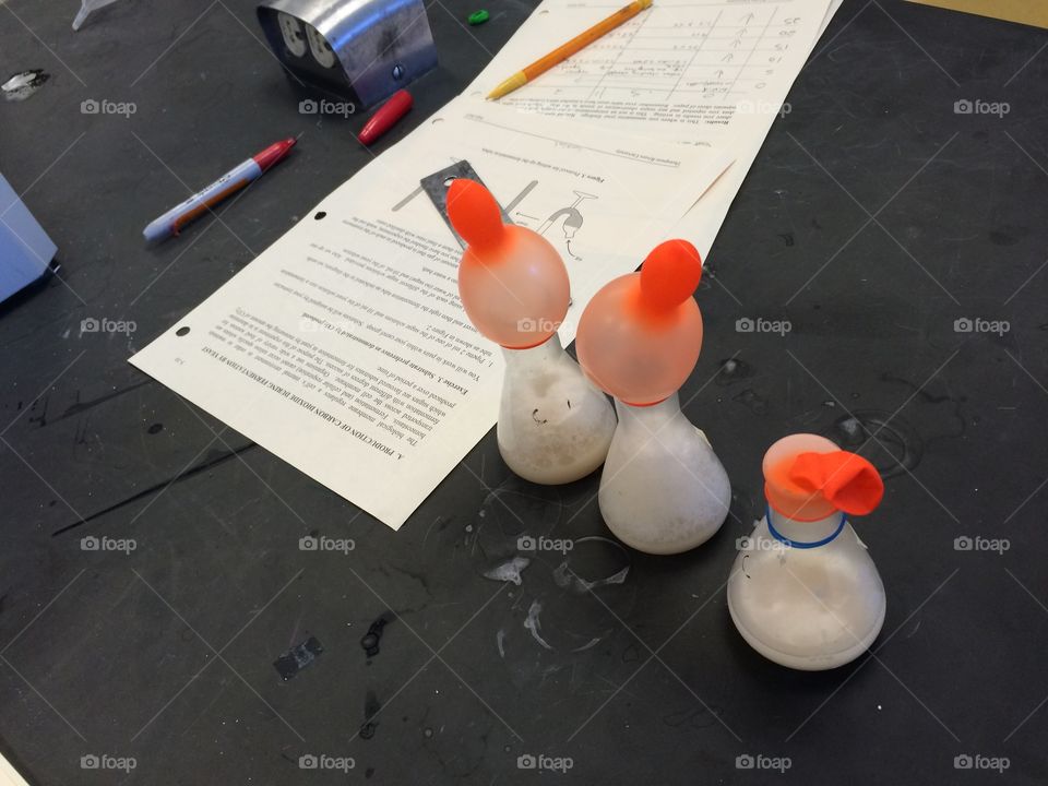 Biology science yeast respiration experiment! 