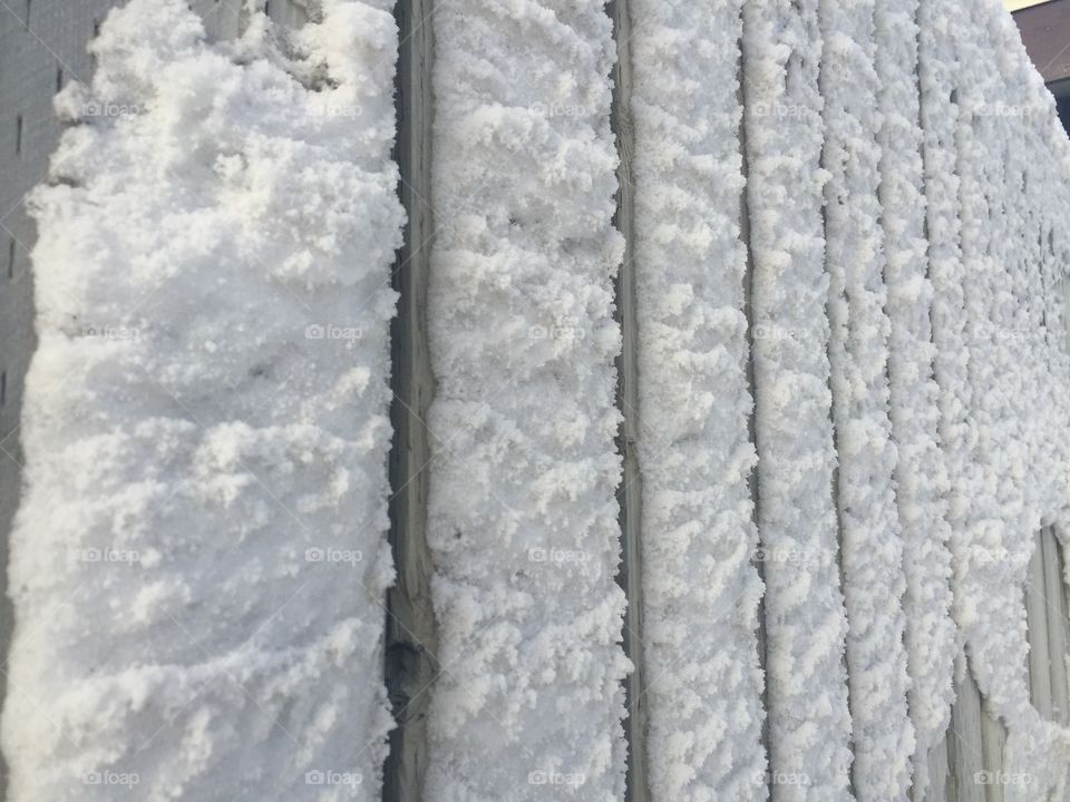 Snow Texture 