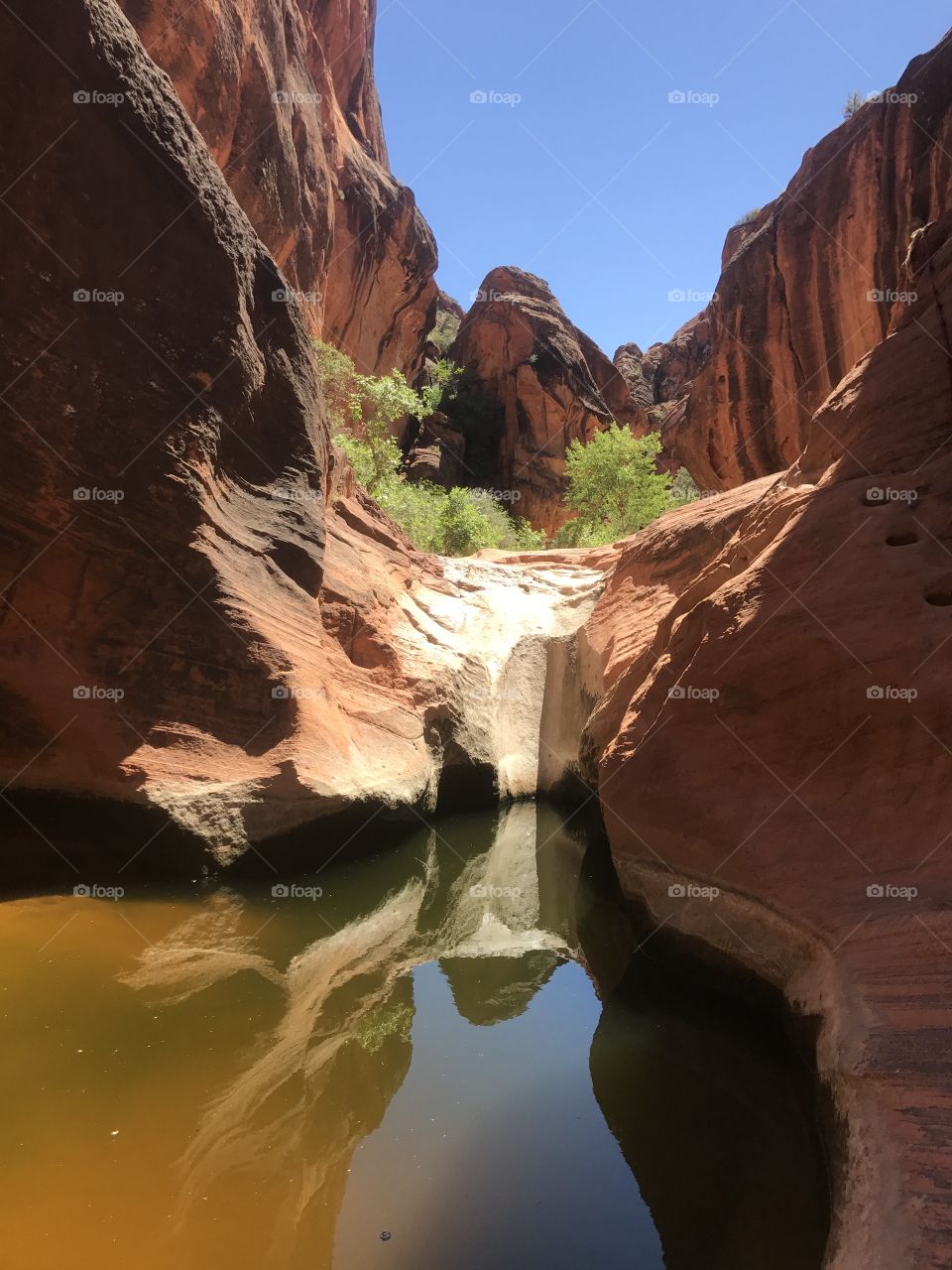 Waters and reflections in red rocks