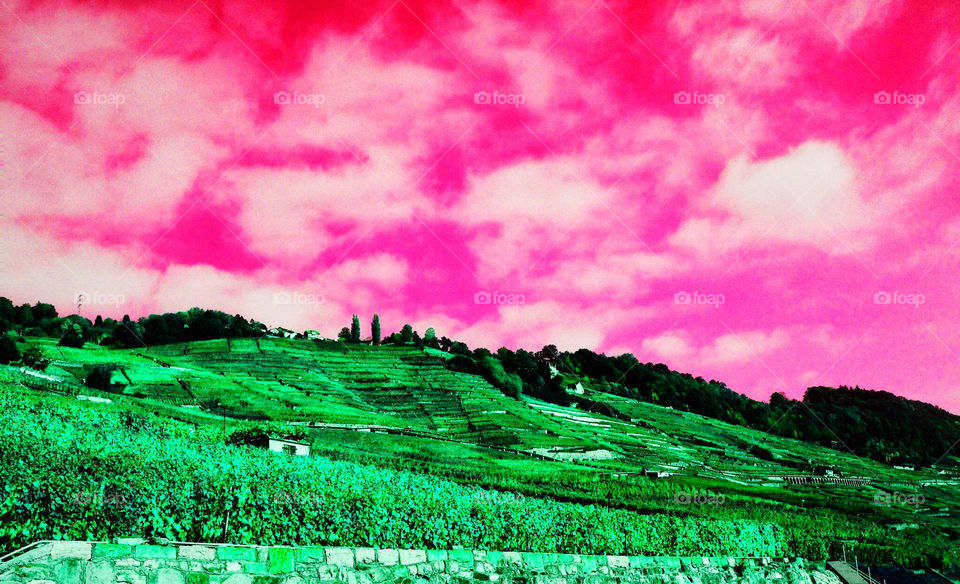 colours just fun by swisstraveler