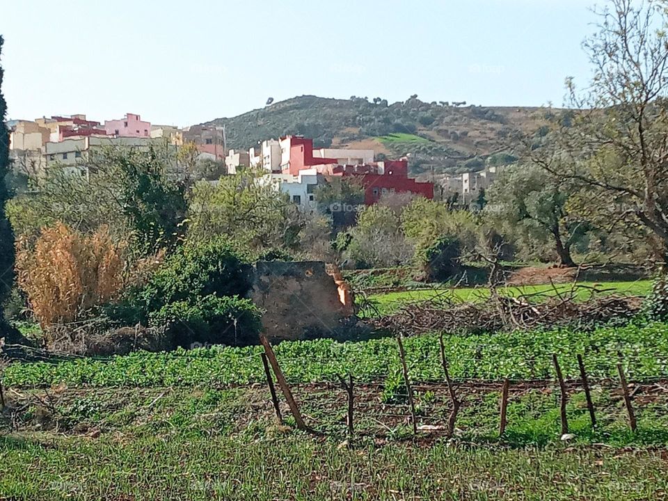 Population between the nature