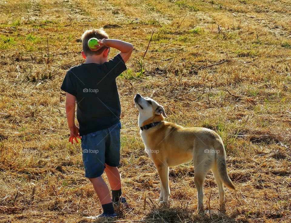 Boy Playing Fetch With His Dog