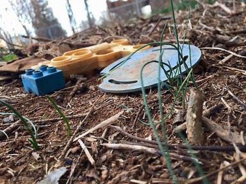 Children’s fossils